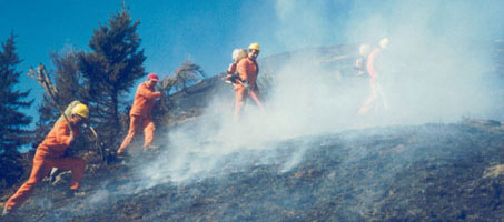 Volontari Antincendio